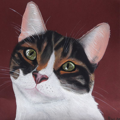 "Paula" Pastellkreide auf 30x30 cm Pastellpapier