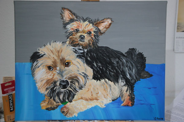"Hündin Jeany und Freund" Acrylfarbe auf 40x50 cm Keilrahmen