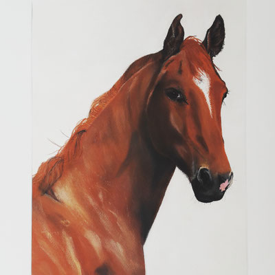"Filice" Pastellkreide auf 40x60 cm Pastellpapier