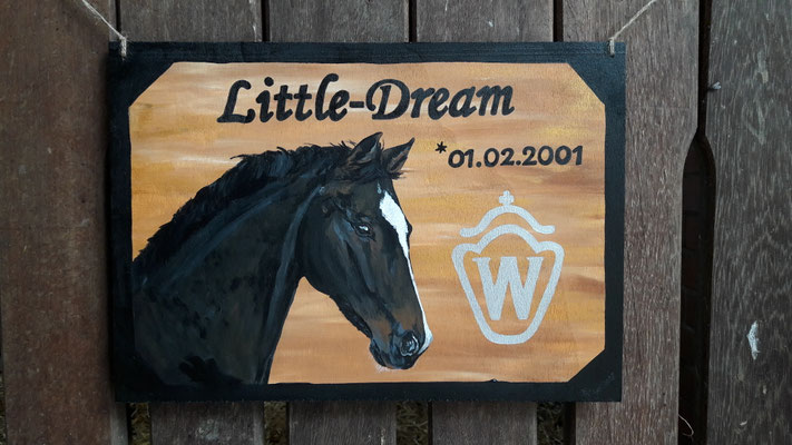 "Little-Dream" Personalisiertes Boxenschild Acrylfarbe auf 30x40cm Holz
