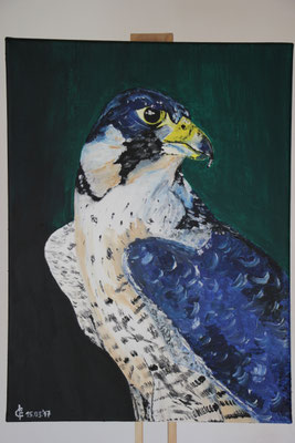 "Raubvogel" Ölfarbe auf 30x40 cm Keilrahmen