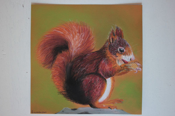 "Eichhörnchen" Pastellkreide auf 23x23 cm Künstlerpapier
