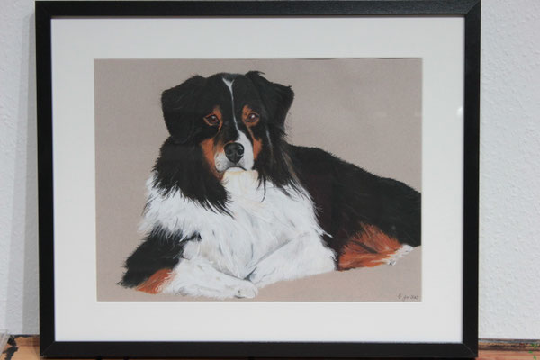 "Wusel" Pastellkreide auf 30x40 cm Pastellpapier
