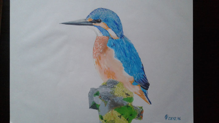 "Eisvogel" Copic Marker auf 30x42 cm Copic Papier