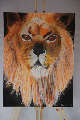 "Old lion" Pastellkreide auf 30x40 cm Pastellpapier