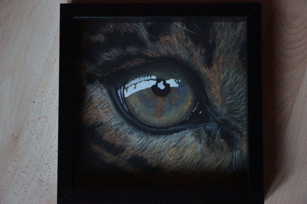 "Eye of the Leo" Pastellkreide auf 23x23 cm Pastellpapier