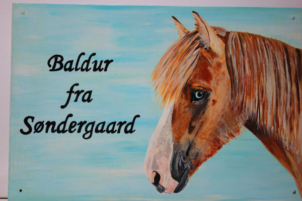 Boxenschild Acrylfarbe auf Holz 20x30cm (versiegelt mit Bootslack)
