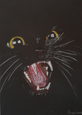 "Katze im Dunkeln" Pastellkreide auf 25x35 cm Pastellpapier