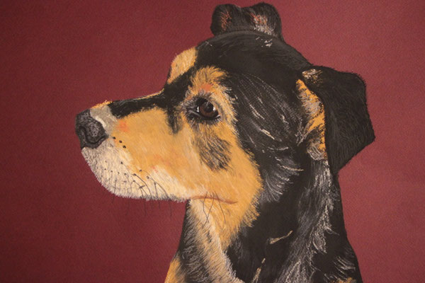 "Scarlett" Pastellkreide auf 30x40cm Künstlerpapier