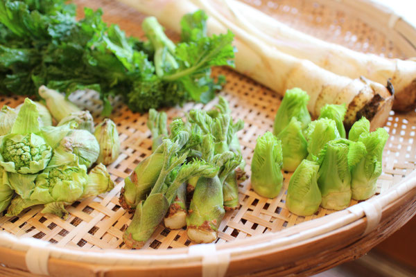 千葉市の手打ち蕎麦 貴匠庵では春山菜の天ぷらをご提供中です 手打ち蕎麦 和カフェ 貴匠庵 きしょうあん 千葉市あすみが丘