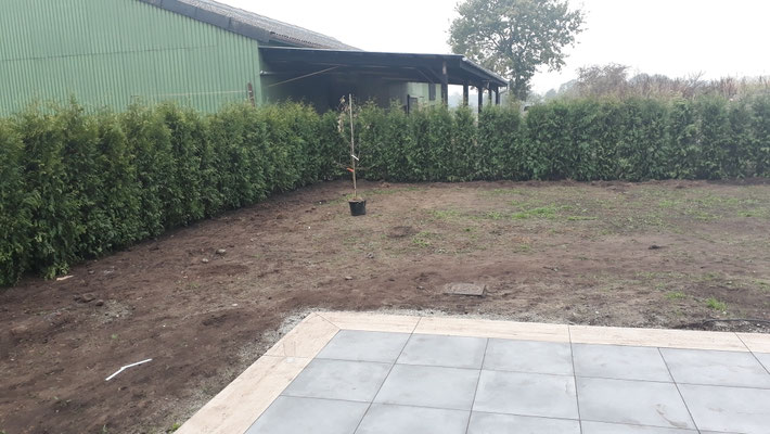 Zaun und Thuja Hecke - Baublog Bautagebuch Stadtvilla Team Massivhaus