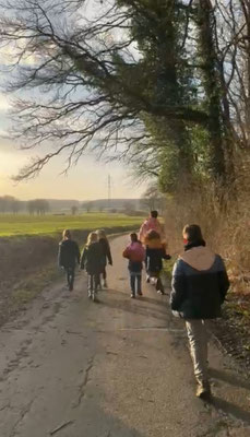 Es beginnt mit einem Spaziergang am Waldrand