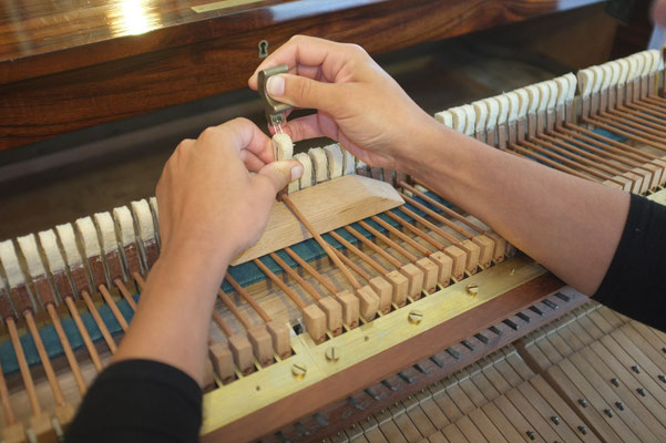 harmonisation des peaux