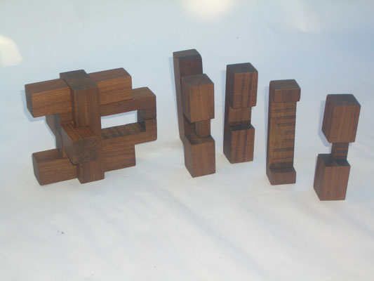 Puzzle incastro in legno  12 pezzi parzialmente disassemblato