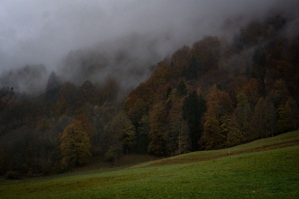 Nebelstimmung im Tal bei Oberstdorf 