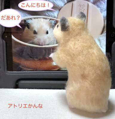 キラキラ輝く毛色のぽぽちゃんは とってもビビリさんでした Bokusaiga ページ