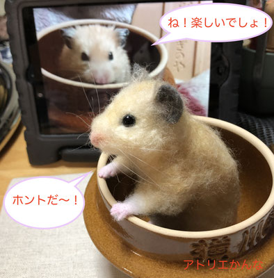 キラキラ輝く毛色のぽぽちゃんは とってもビビリさんでした Bokusaiga ページ