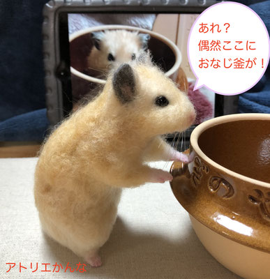 キラキラ輝く毛色のぽぽちゃんは とってもビビリさんでした Bokusaiga ページ