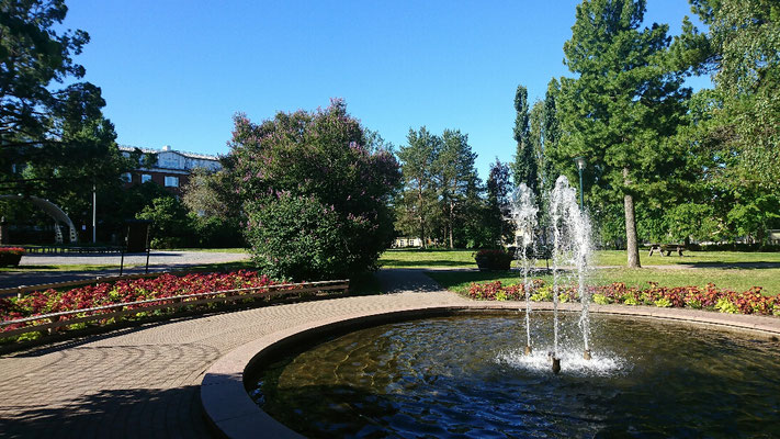 Stadtpark in Luleå
