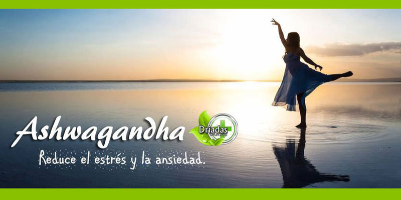 Ashwagandha - Adaptogeno natural