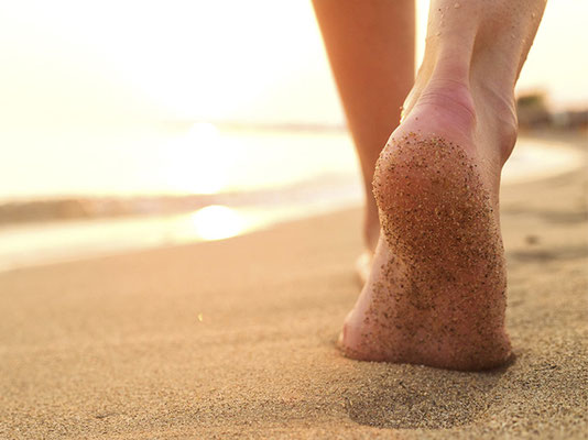 Entre el Grounding y el Earthing