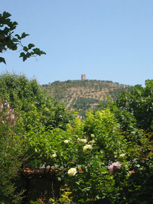 Le Mont d'Or Manosque