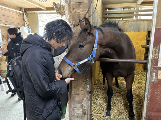 元馬術部！人参を持ってきていたS川さん