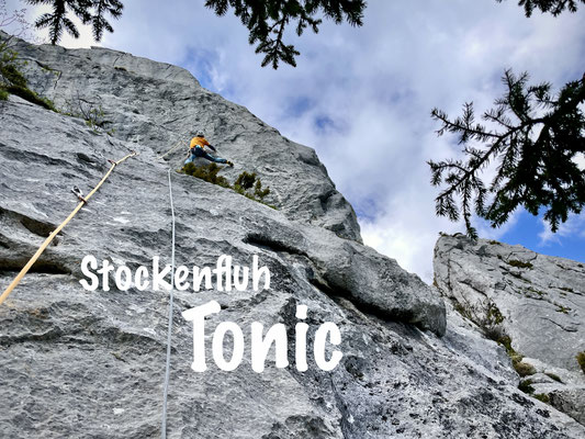 Stockenfluh: Tonic