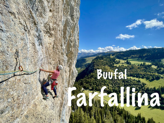 Buufal: Farfallina
