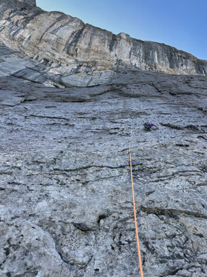 SL1: gemächlicher Auftakt an grossen Chickenheads