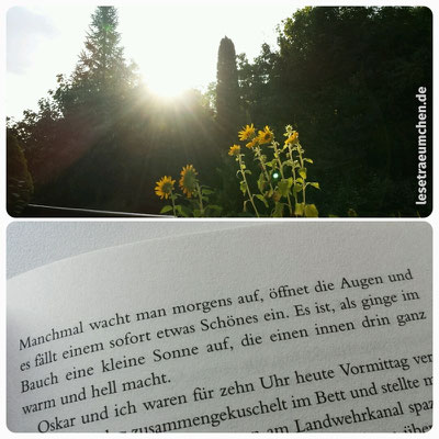 Morgensonne und sofort das passende Zitat im Kopf. Zitat aus "Rico, Oskar und die Tieferschatten" von Andreas Steinhöfel