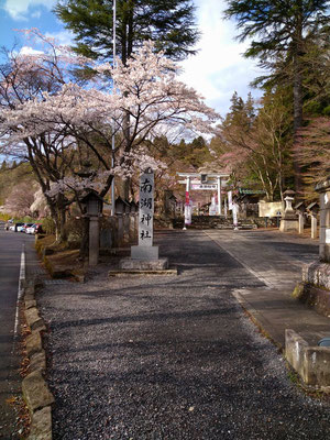 2025年4月下旬の白河市南湖公園2