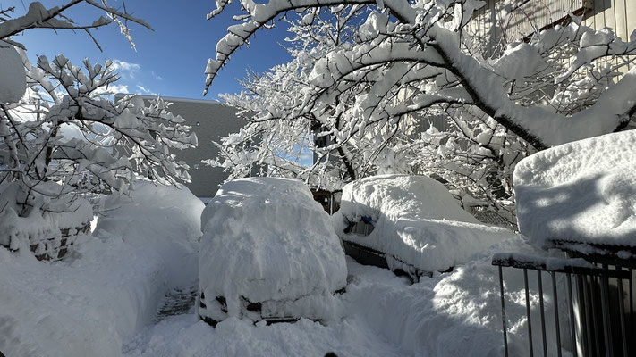 2025年1月10日、須賀川市の実家近くの雪景色