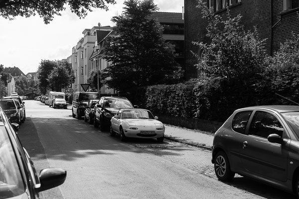 Woche 5: Am Hörster Friedhof, nahe Piusallee