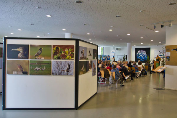 Heimische Natur im Bild. Die Naturfotografen Siegfried Westpfahl und Peter Schubert hatten ihre schönsten Bilder ausgestellt. (Foto: P. Schubert)