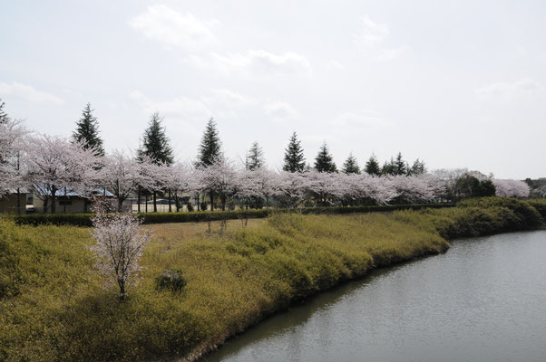 白井市南山