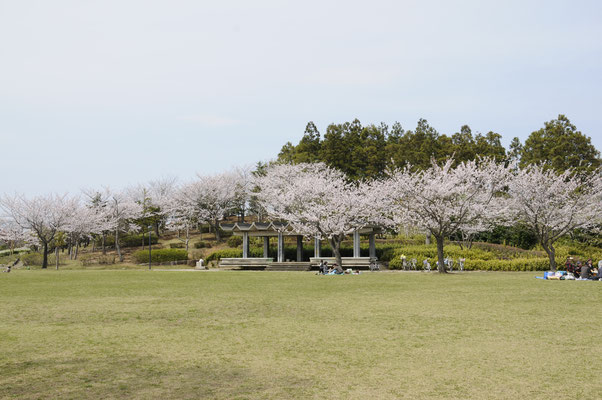 七次第一公園