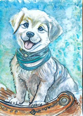 (noch nicht fertiggestellt) - HUND Nr.12; 51,5x41,5cm; Aquarell/Gesso mit Passepartout, Plexiglas und Rahmen; Preis € 200,-