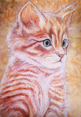 KATZE Nr.2, 40x30 cm, Acryl auf Aquarellpapier mit Passepartout hinter Plexiglas inklusive Rahmen (NICHT ERHÄLTLICH)