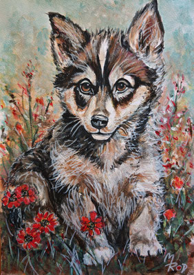 HUND Nr.17; 30,5x21,5 cm; Acryl auf Aquarellpapier hinter Plexiglas inklusive Rahmen; Preis € 120,-