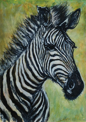 (noch nicht fertiggestellt) ZEBRA Nr.1; 51,5x41,5 cm; Aquarell/Gesso mit Passepartout, Plexiglas und Rahmen