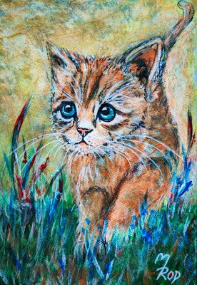 KATZE Nr.45, 30x21 cm, Acryl auf Aquarellpapier hinter Plexiglas inklusive Rahmen (NICHT ERHÄLTLICH) 