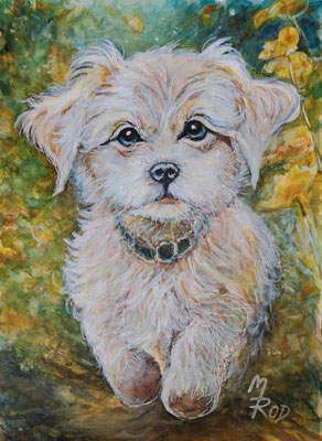 HUND Nr.2; 51,5x41,5 cm; Aquarell/Gesso mit Passepartout, Plexiglas und Rahmen; Preis € 140,-