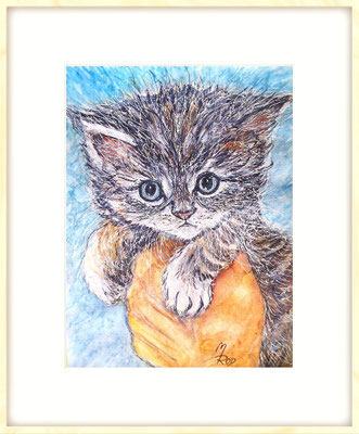 KATZE Nr.19; 50x40 cm; Aquarell mit Passepartout, Plexiglas und Rahmen (Original nicht mehr erhältlich) 