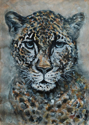 (noch nicht fertiggestellt) - JAGUAR Nr.2; 51,5x41,5 cm; Aquarell/Gesso mit Passepartout, Plexiglas und Rahmen; Preis € 200,-