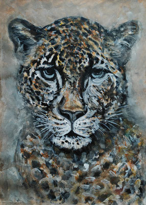 (noch in Arbeit) JAGUAR Nr.2; 51,5x41,5 cm; Aquarell/Gesso mit Passepartout, Plexiglas und Rahmen
