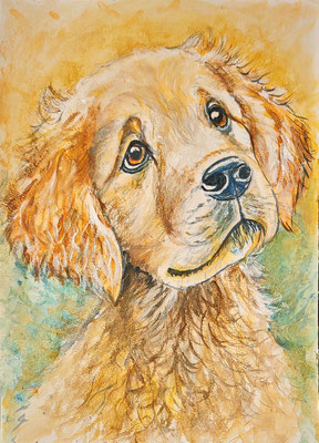 NEU (noch nicht fertiggestellt) - HUND Nr. ; 30x21 cm; Aquarell inkl. Rahmen und Plexiglas; Preis € 150,-