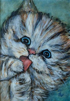 KATZE Nr.24, 40x30 cm, Acryl auf Aquarellpapier mit Passepartout hinter Plexiglas inklusive Rahmen, Preis € 180,-