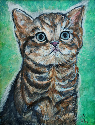 (noch in Arbeit) KATZE Nr.23; 51,5x41,5 cm; Aquarell/Gesso mit Passepartout, Plexiglas und Rahmen