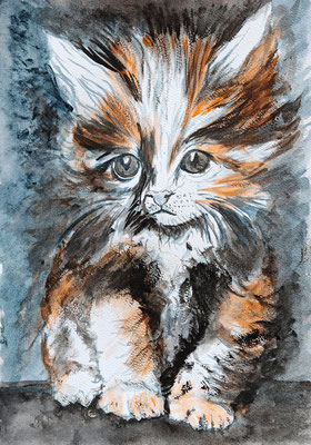NEU (noch nicht fertiggestellt) - KATZE Nr. ; 30x21cm; Aquarell inkl. Rahmen und Plexiglas; Preis € 150,-